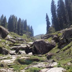 Budha Kadar (बूढ़ा कदार) - A holy place for bath