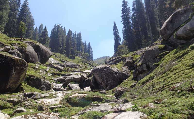 Budha Kadar (बूढ़ा कदार) - A holy place for bath